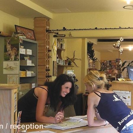 Hostel Kangaroo-Stop Дрезден Экстерьер фото
